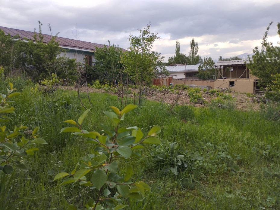 Uy sotiladi parkent tumani