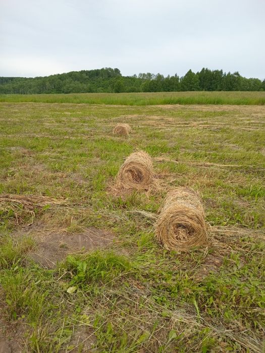 Прессподборщик 0850