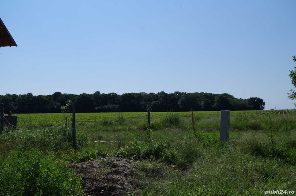 Teren intravilan in Ganeasa, str. Plevnei, 1100 mp, deschidere 10 m