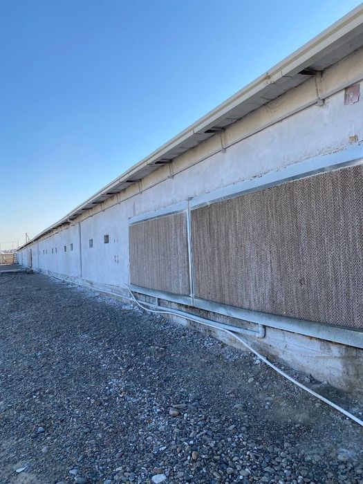 Tayyor baza sotiladi