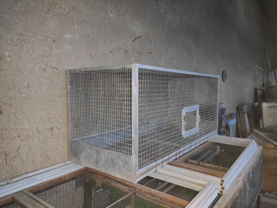 Валер ( Кафас ) 1,45см 0,65см.