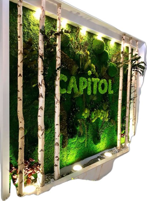 Озеленения стены и потолки! Sun’iy yashillik dekoratsiyalar!