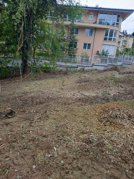 Рязане на Опасни дървета  чистене на дворове и парцели