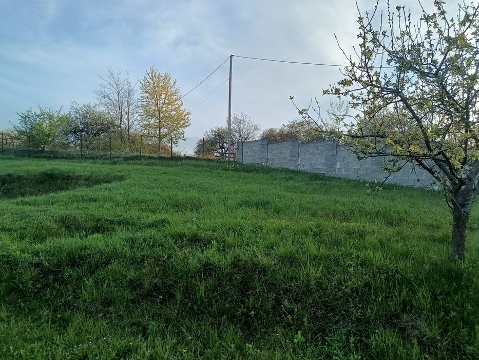 Vând teren 10 ari in Adancata