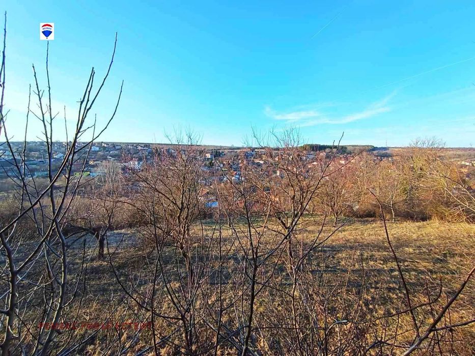 Горски масив в района на Лесопарк Липник