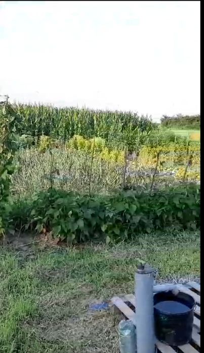 Teren intravilan in sat Obad