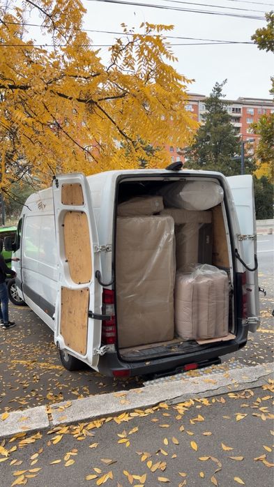 Transport rapid in Oradea
