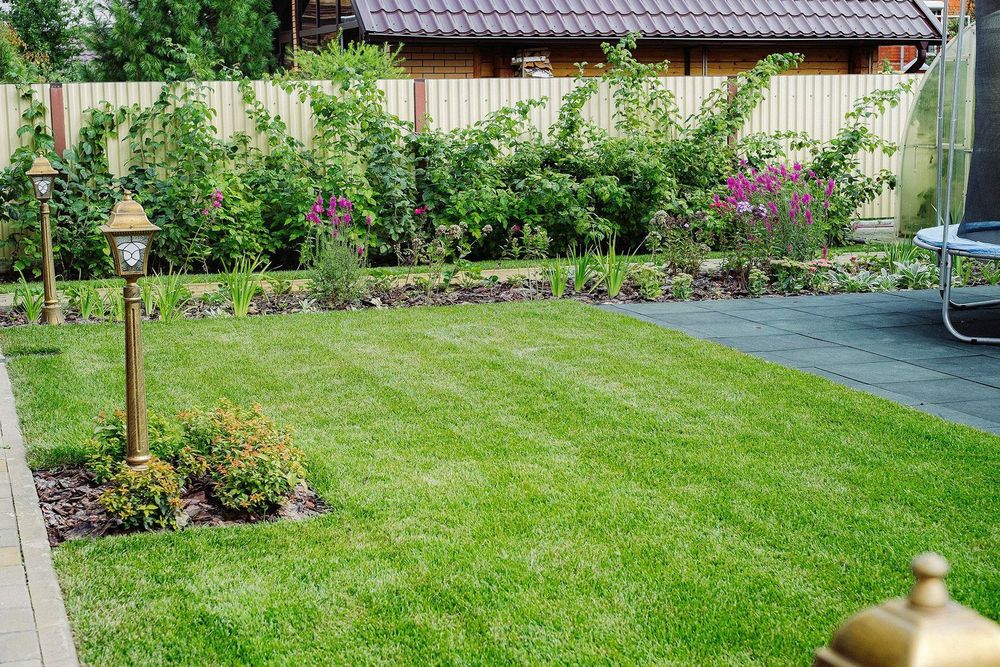 Озеленение | газон | автополив