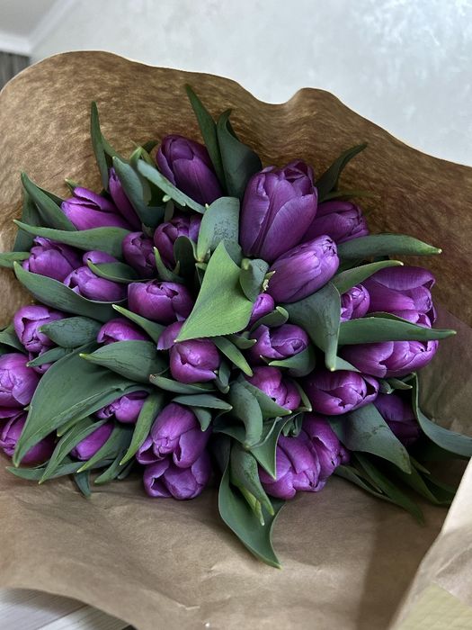 Голландские тюльпаны Оптом и В розницу!