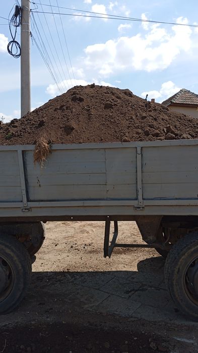 Săpături mecanizate și amenajări spatii verzi