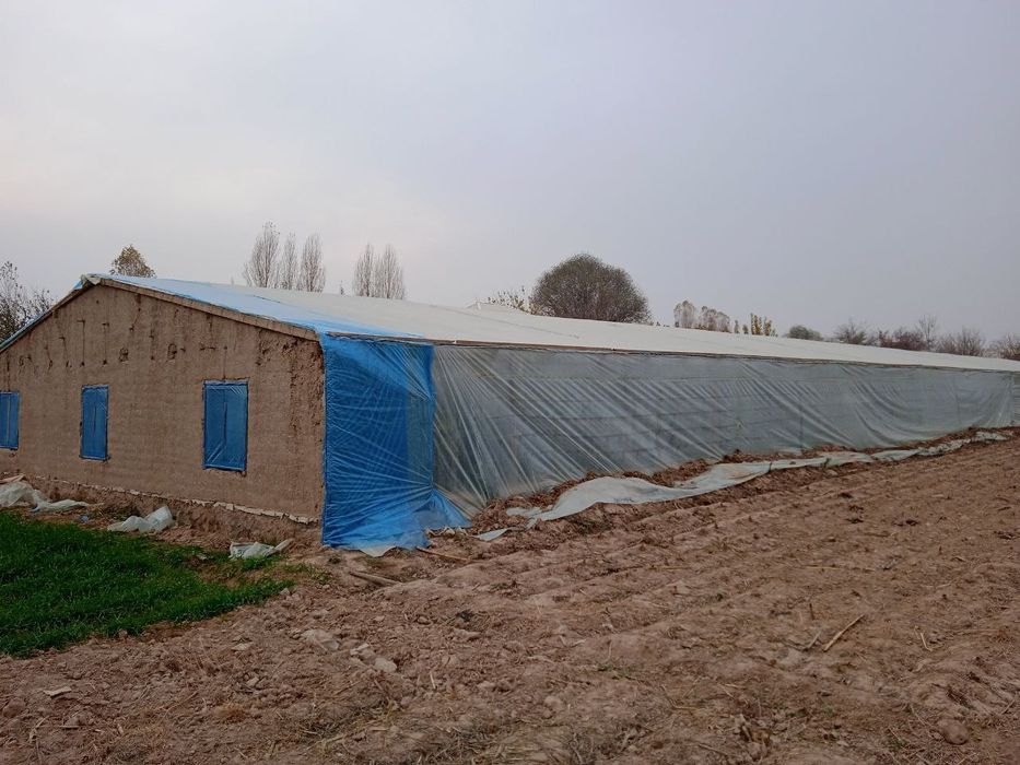 Hovli sotiladi srochni