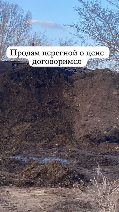 Продам перегной Жетекши