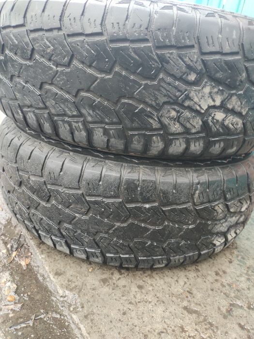 245 70 р16 летние