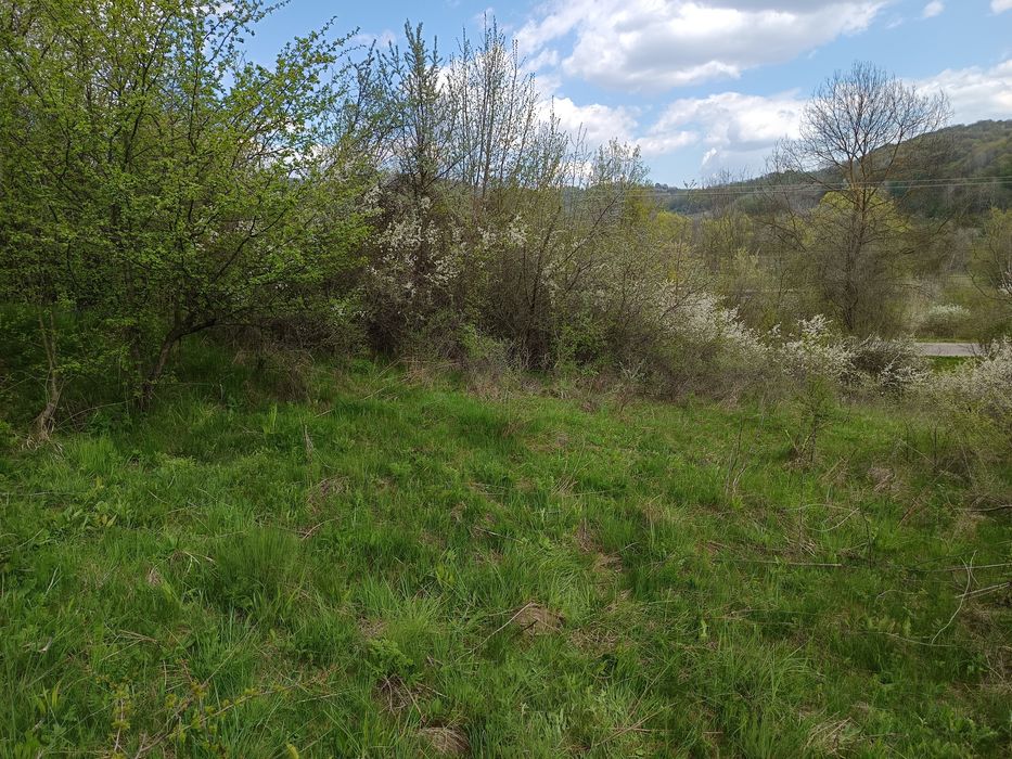 Vând teren extravilan 3700 m2