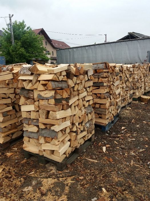 Lemn foc fag si alte diverse tari (acceptam vauchere)