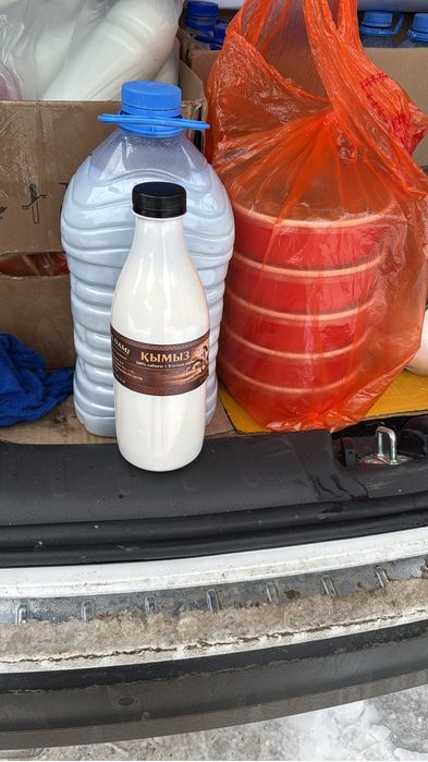 Қымыз шұбат оптом