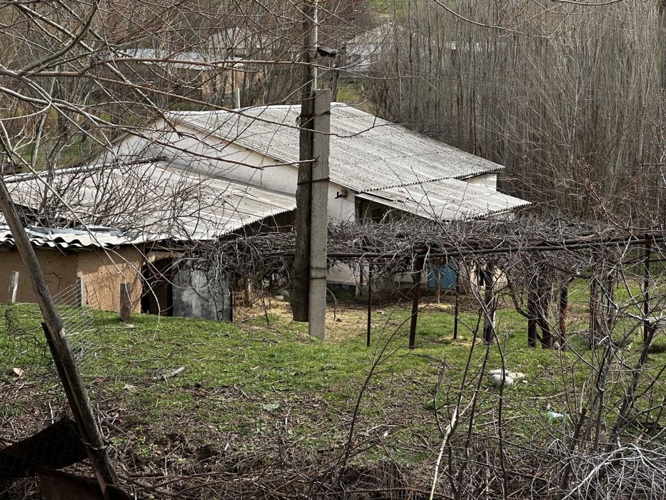 4 xona yashash uchun 4 xona tovuq juja va bol qoy boqsa buladigan joy