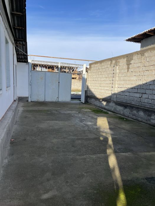 Xovli sotamiz 9 sotix