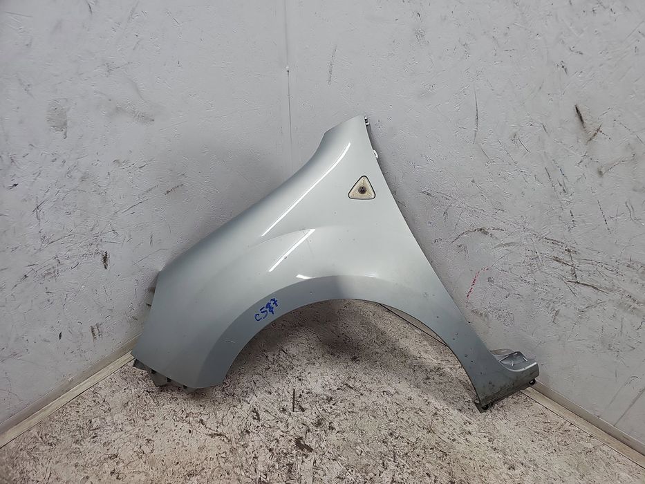 Aripa stanga fata Renault Kangoo 2 [Fabr 2008-prezent] LCV ALBASTRU