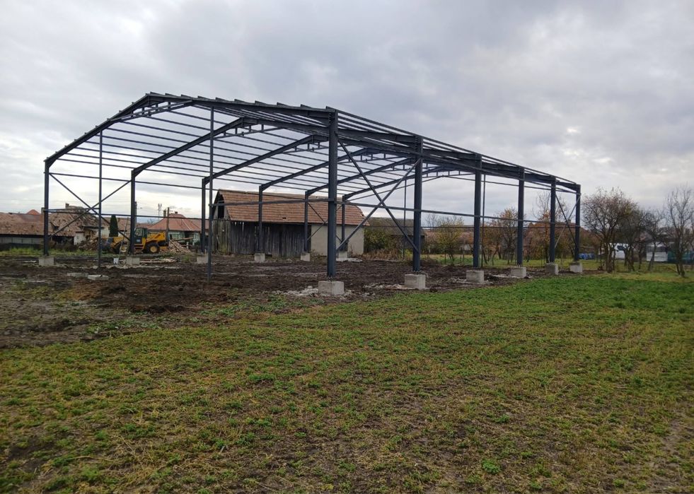 Hale structuri metalice