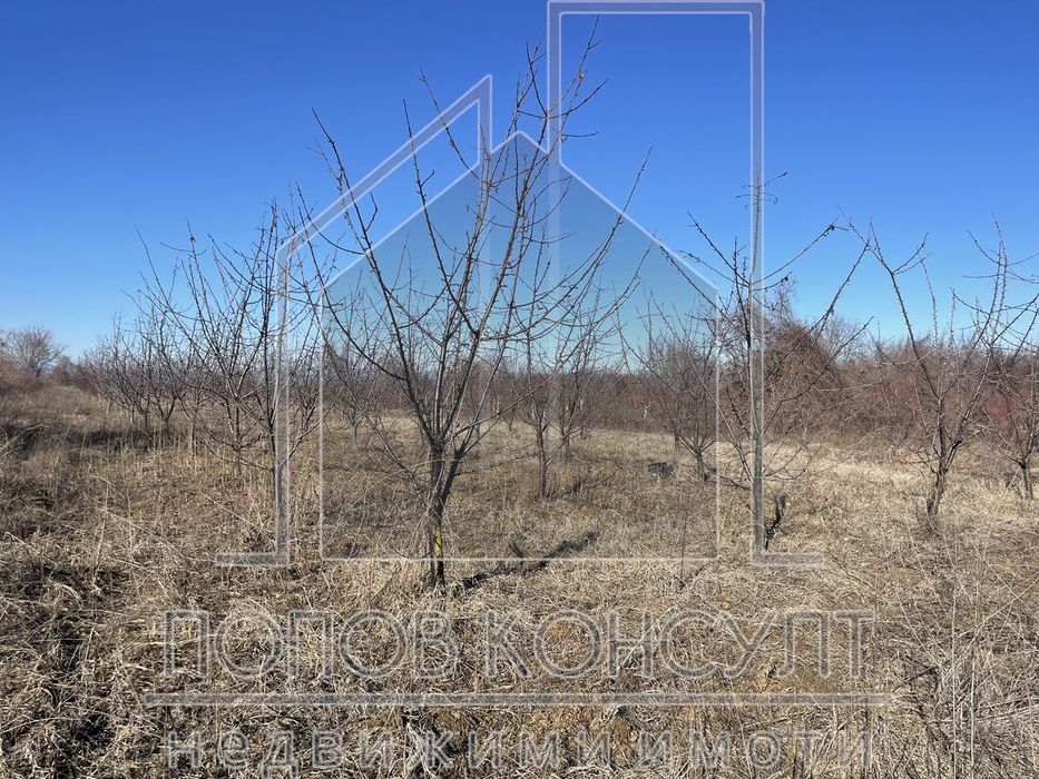 Продава се Парцел в с. Брестник, Област Пловдив - 6752 кв.м за 45 €/кв.м - Снимка #2