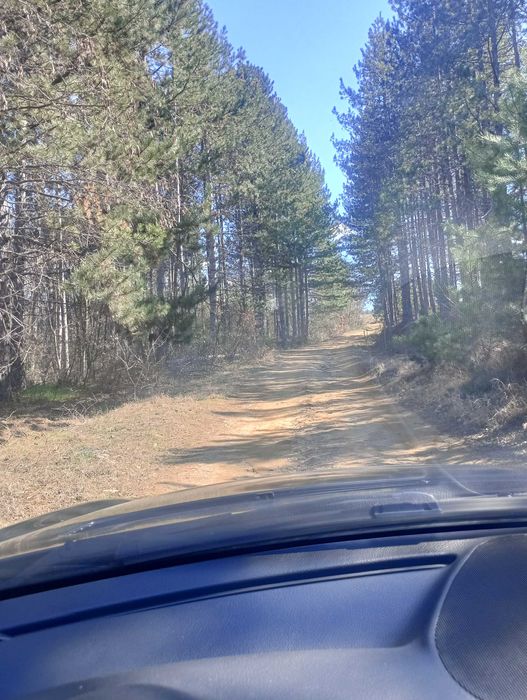 Продава се Къща в с. Невестино, Област Кюстендил - 80 кв.м за 211 €/кв.м - Снимка #16