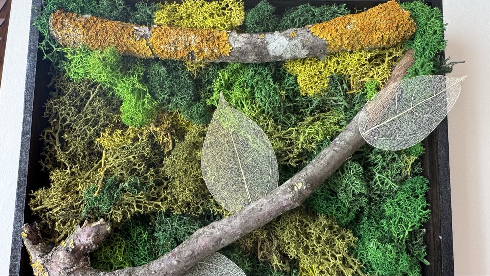 Картина от скандинавски мъх