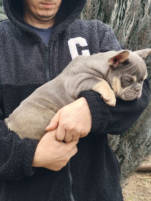 Шикарная девочка