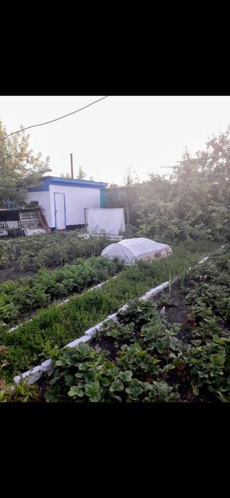 Продам квартиру,  двухквартирный дом