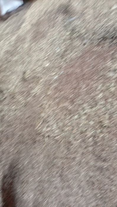 ОТХОДЫ Полова Отруби Овес