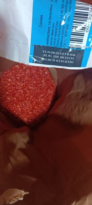 Семена кукурузы канадский сорт