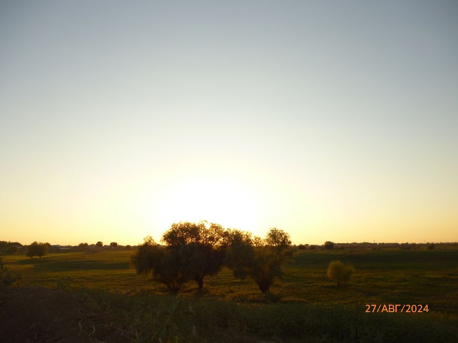 Panasonic Lumix DMC-S1