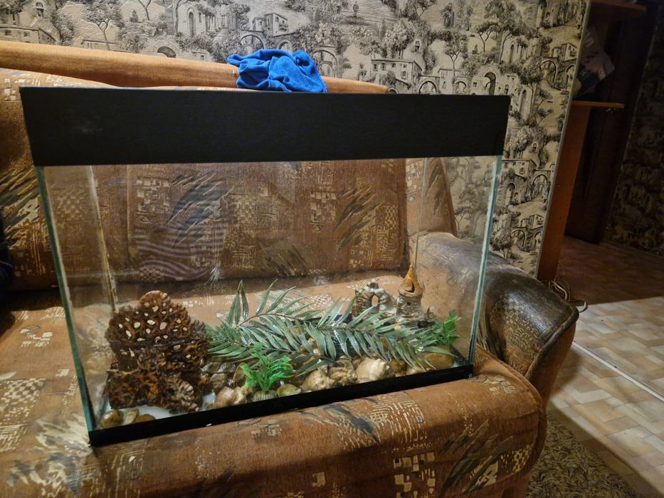 Аквариум для рыбок