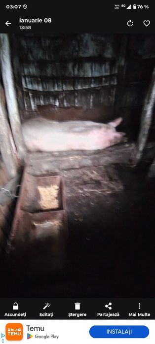 Schimb cu motocultor, motosapă