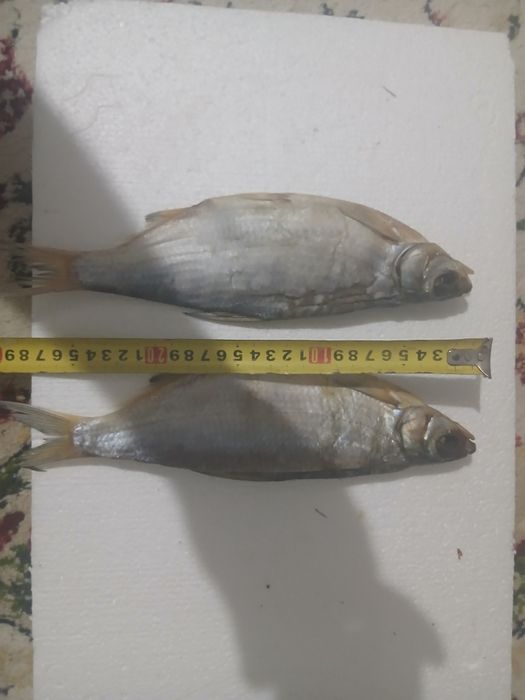 Пила на батарейки