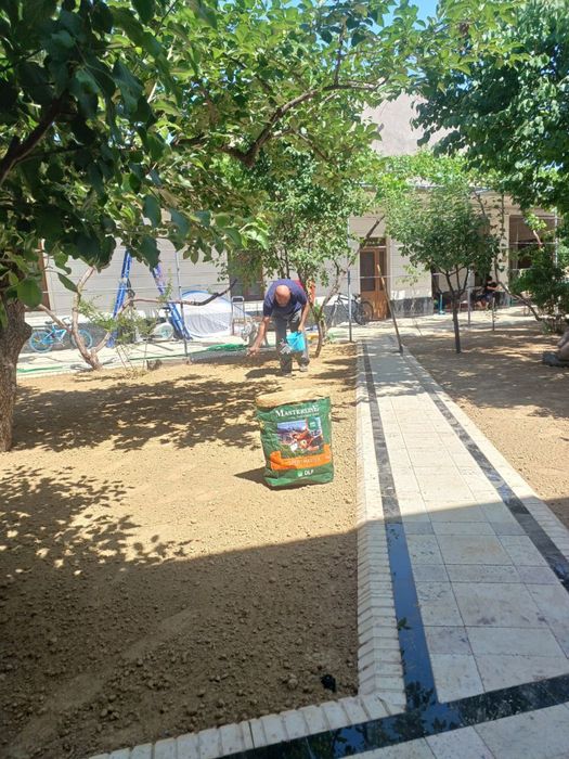 Yevro gazon sifatli va arzon