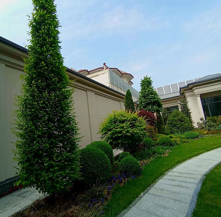 Eco_landshaft_dizayn