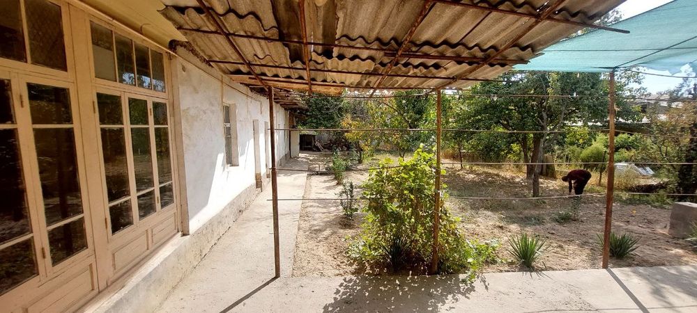 Прадайоса 12 сотик