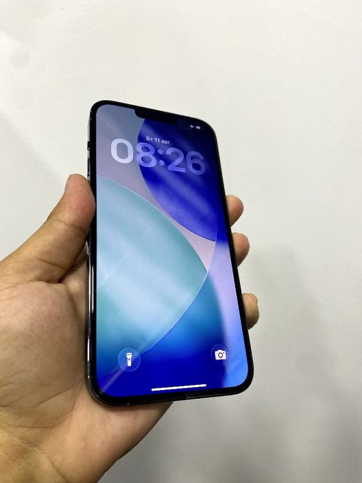 iPhone 13 Pro Max