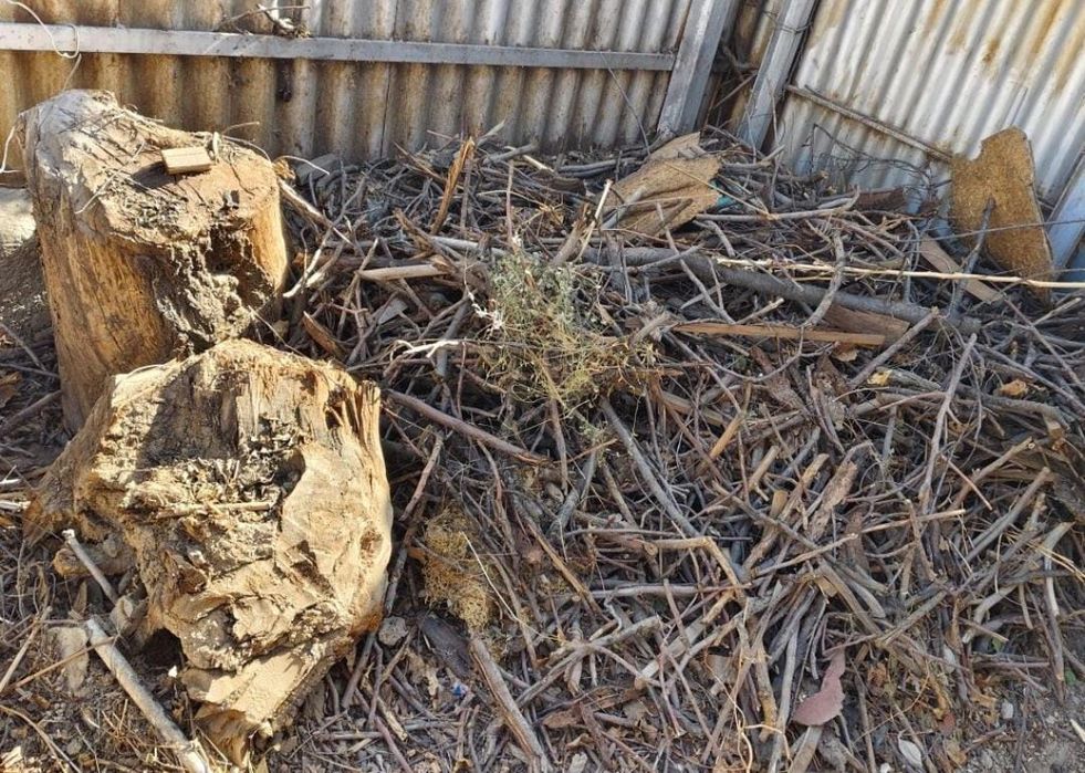 Отдаю бесплатно дрова