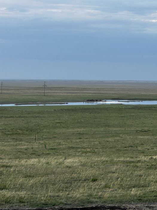 Земля 5.300 гектар
