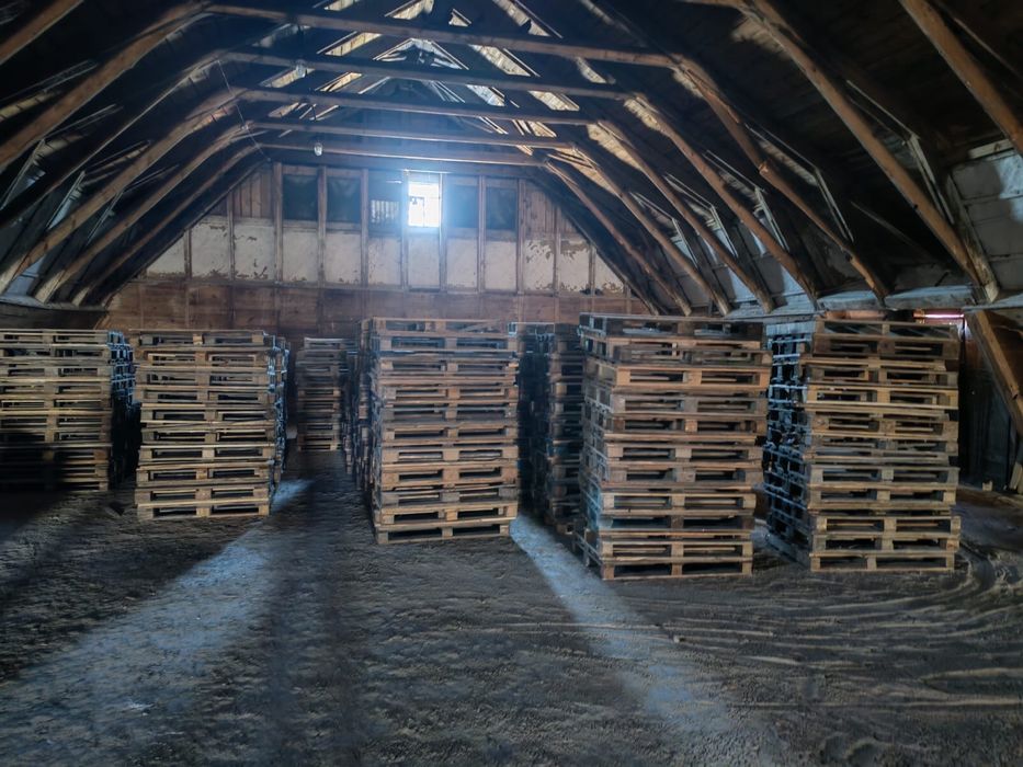 Продам поддоны ( палеты)