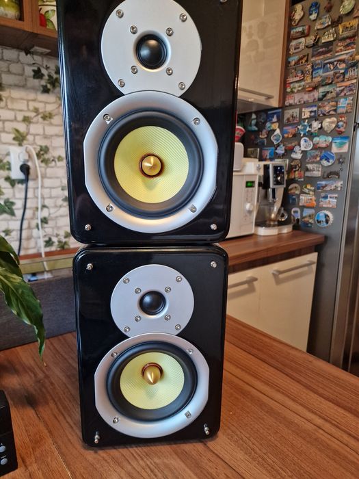 Boxe audio de top,Dantax Pro1,sunet de exceptie,2x80w,in 8 Ohm