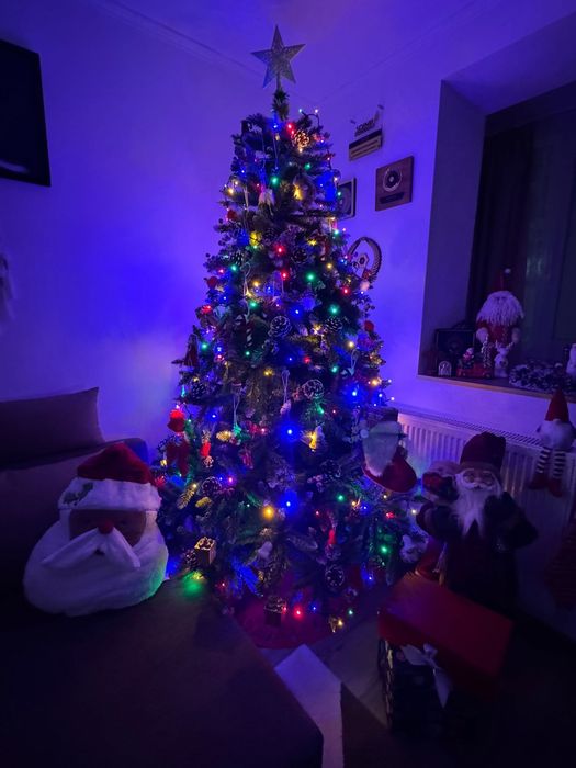 Apartament Eagle Predeal