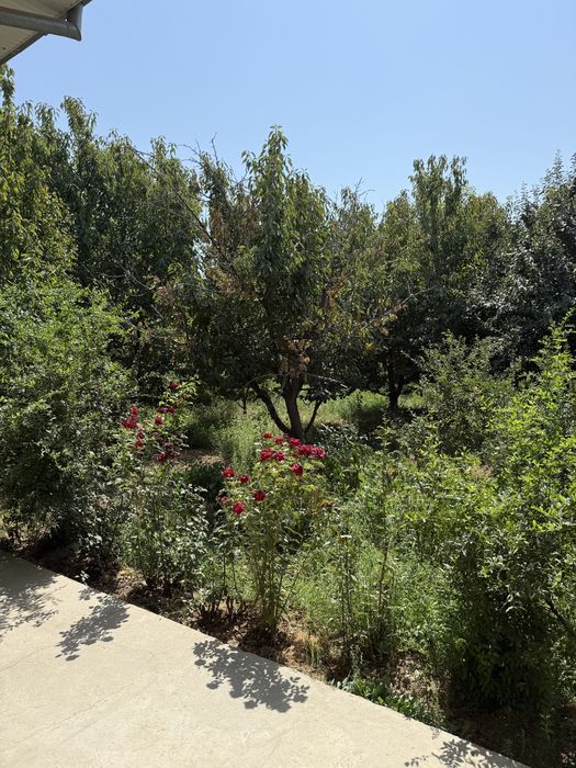 Участок (ферма), сад свой