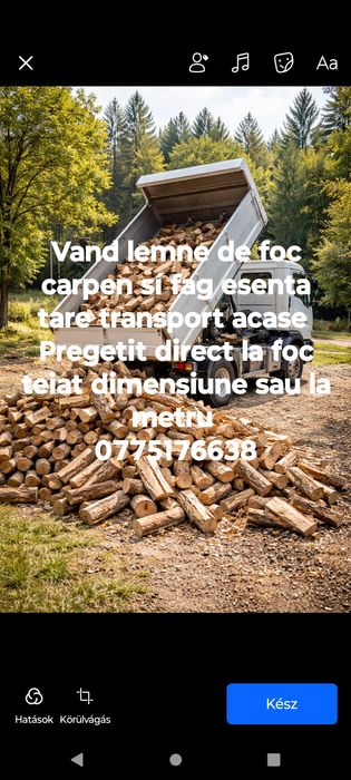 Lemne de foc carpen