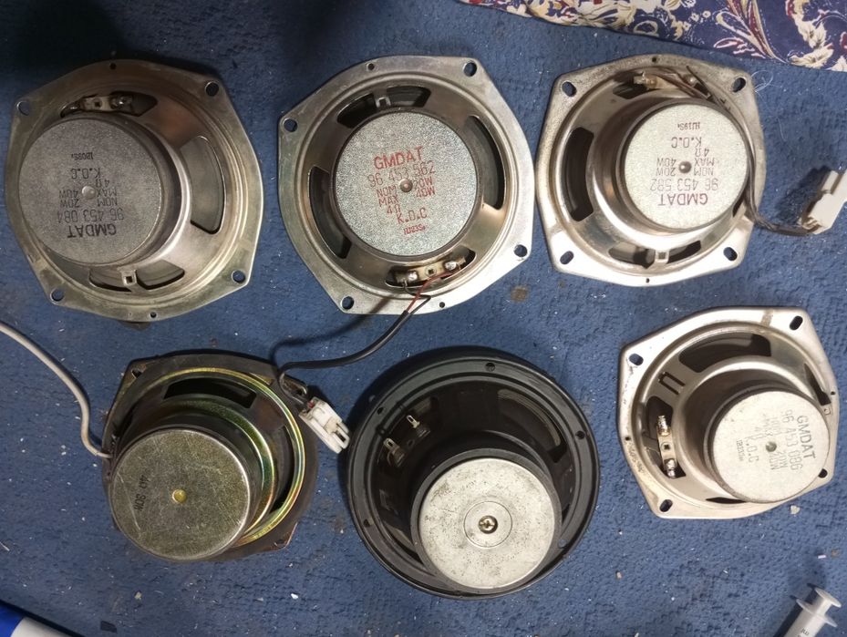 Kalonkalar sotiladi donasi 100 mingdan