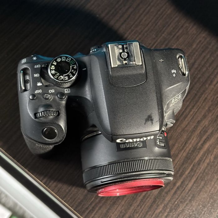 Canon 800D | Sigma 180mm F2.8 | Canon 85mm F1.8