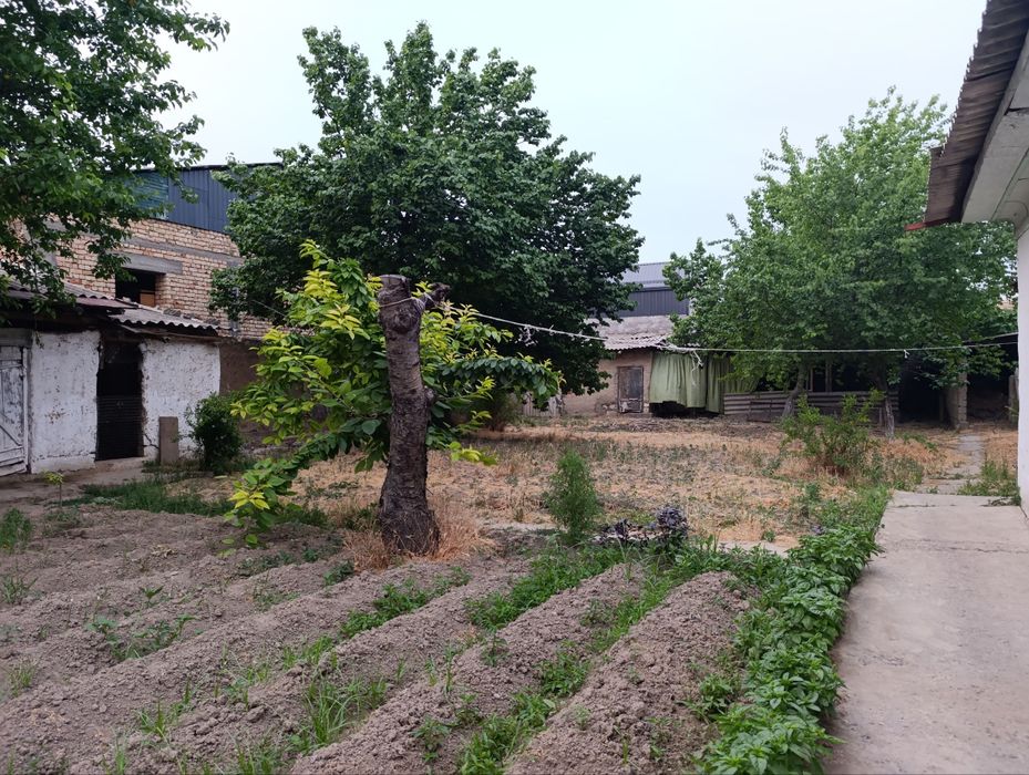 Yer hisobida uy sotiladi sotixi 25mingdan