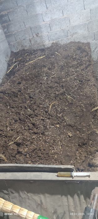 Mol porisi ugit sotiladi 1 labosi 200 ming